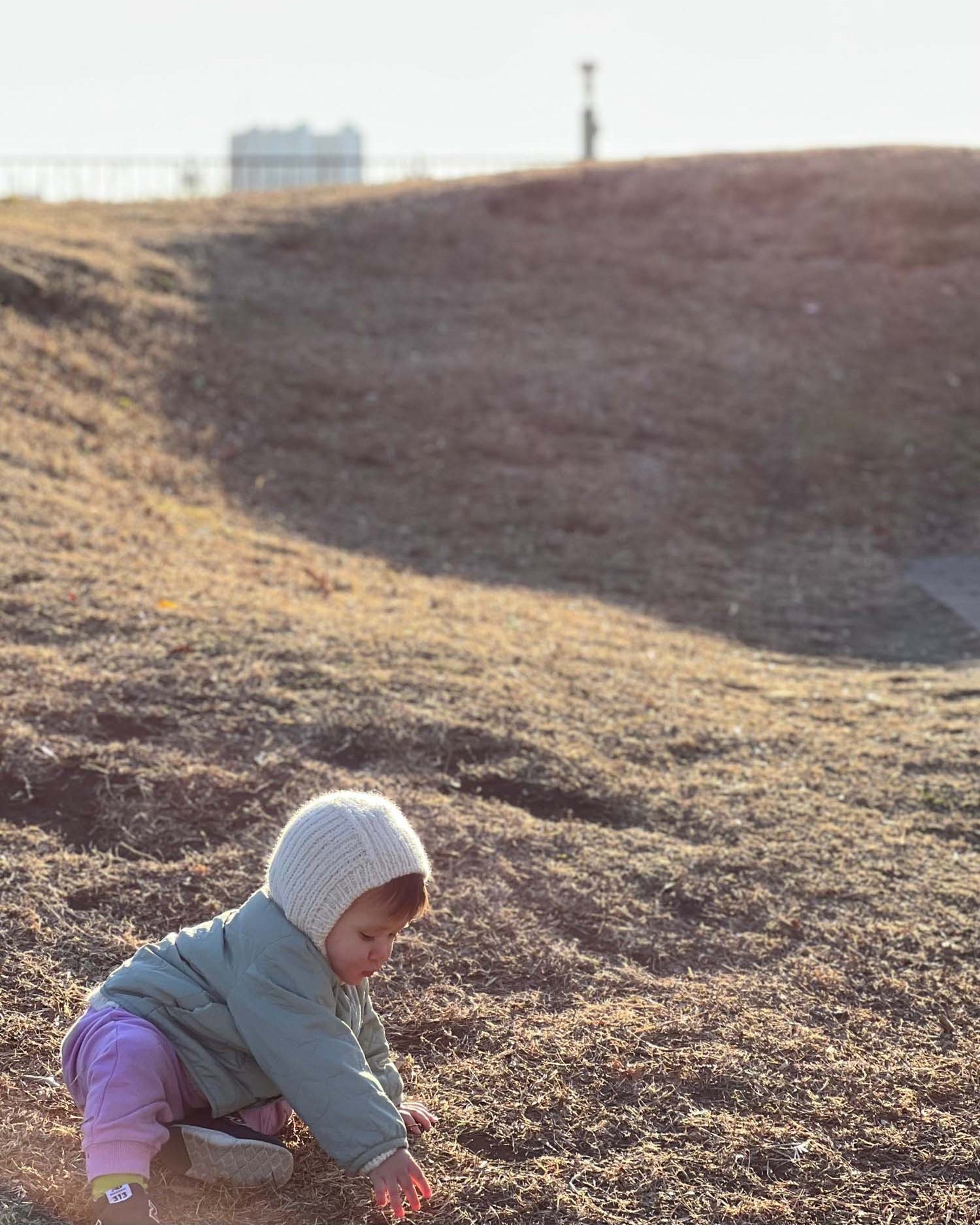 Isager Anna Og Albert Opskrift