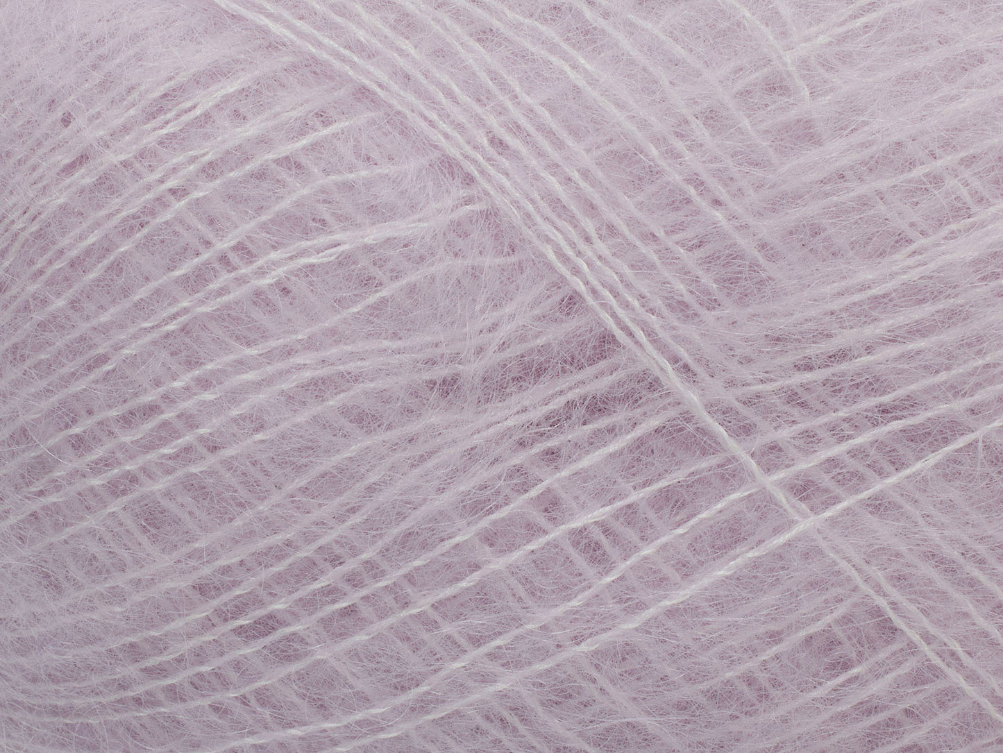 Tilia