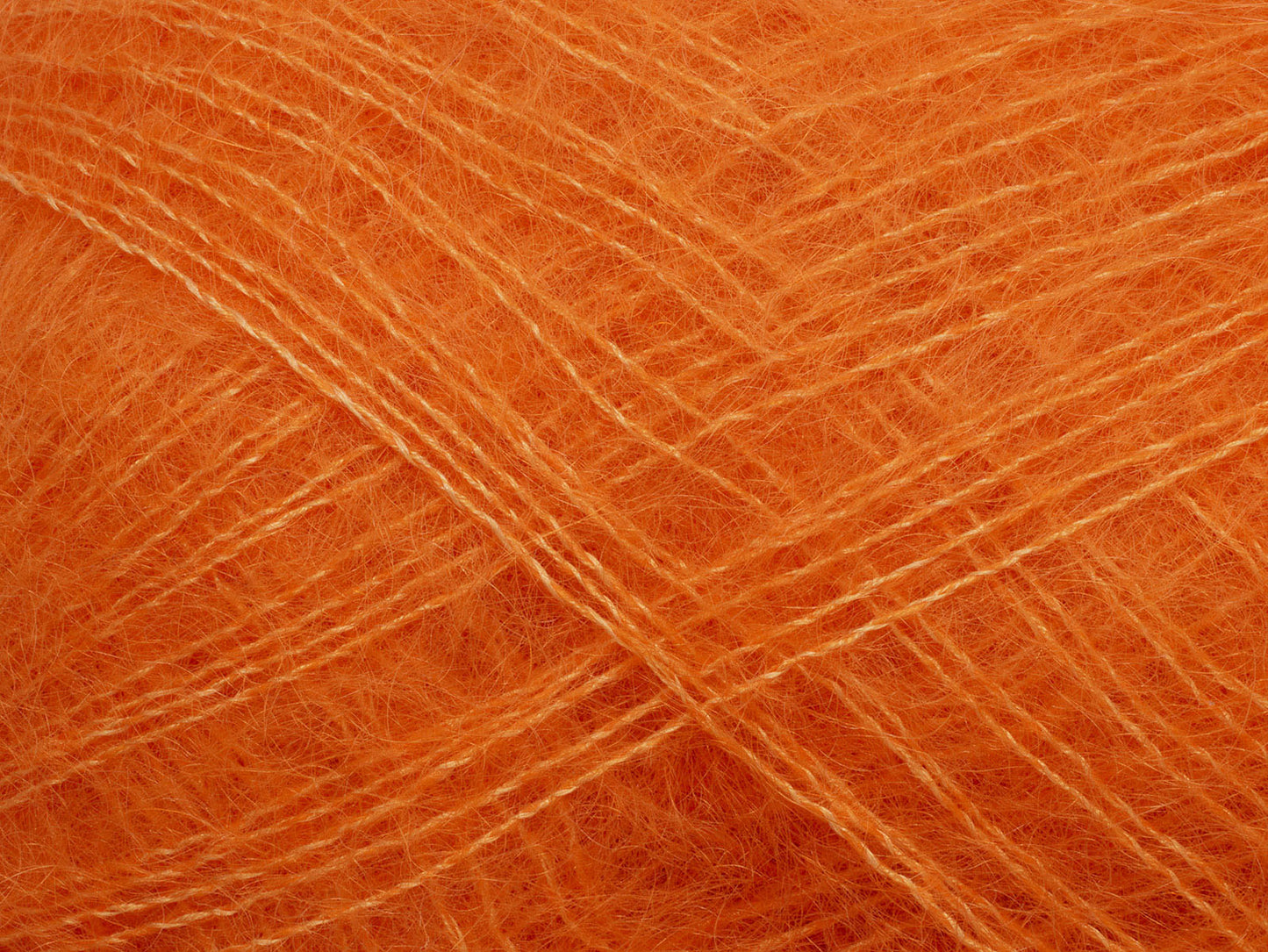 Tilia