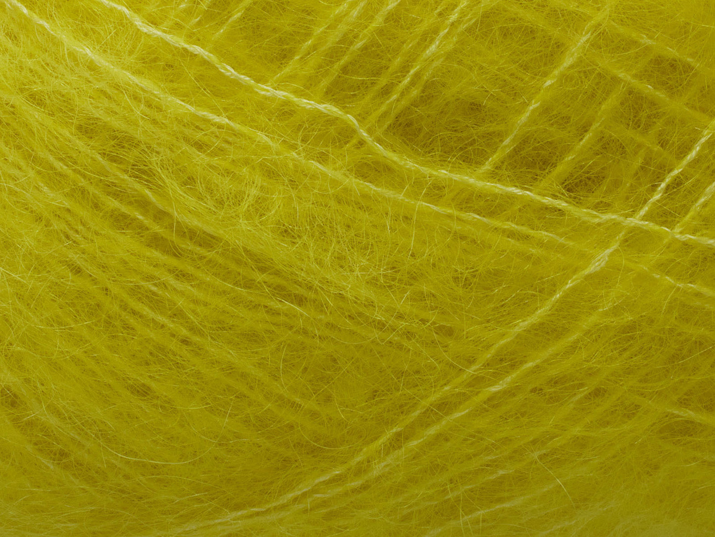 Tilia