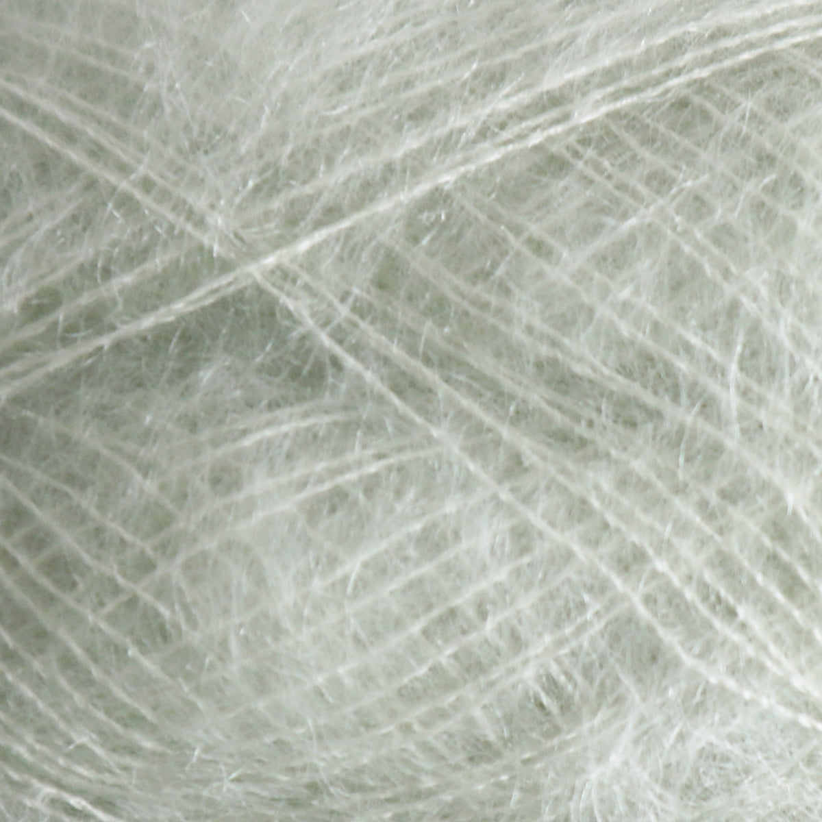 Tilia