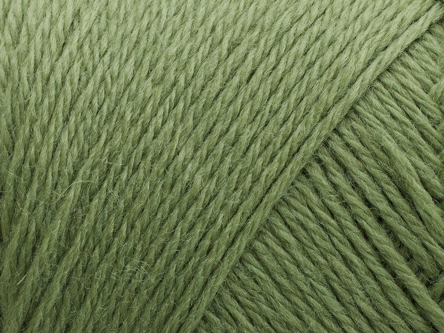 Filcolana Arwetta 243 Basewood Green