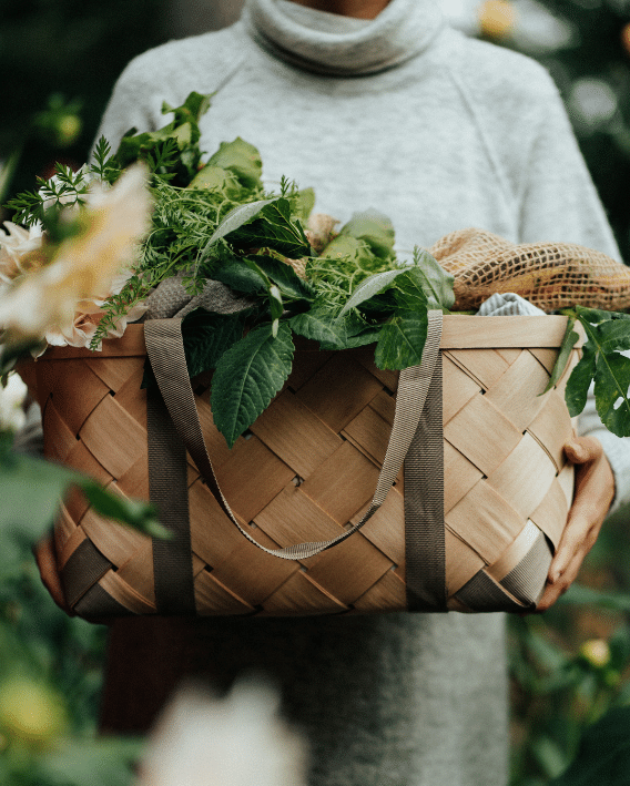 Kurv af bøg med brunt håndtag