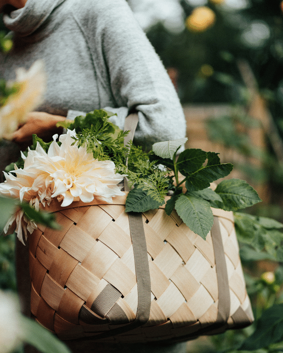 Kurv af bøg med brunt håndtag