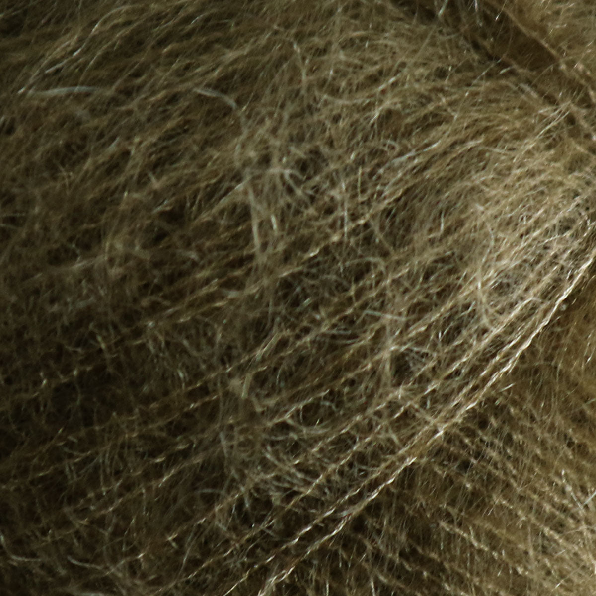 Tilia