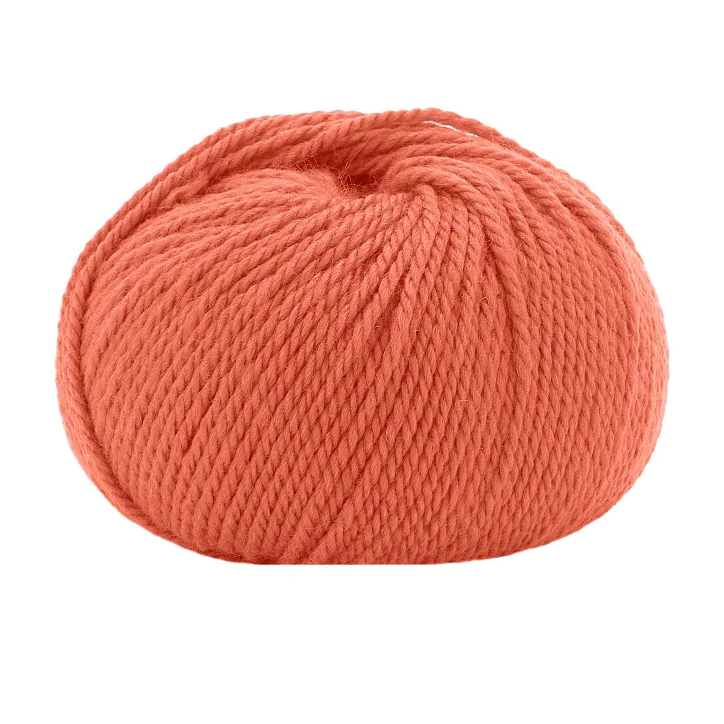 Lana Gatto Asian 14419 Orange