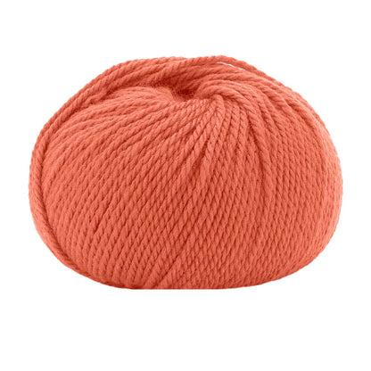 Lana Gatto Asian 14419 Orange